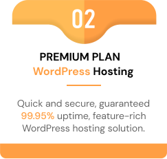 wp hosting premium plan